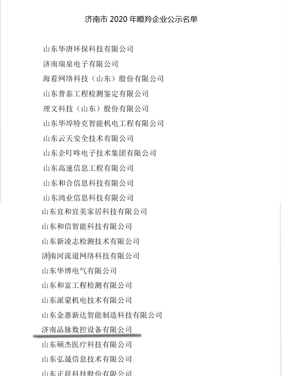 瞪羚企业名单
